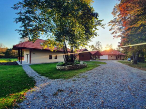 Dziubanowo, Sanok